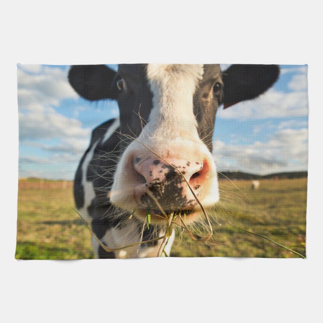 Linge De Cuisine Fermes | Vache Holstein Chewing (Horizontal)