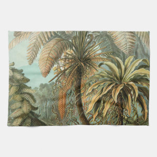 Linge De Cuisine Ferns Palm Tree Antiquité Botanique Ferns Art
