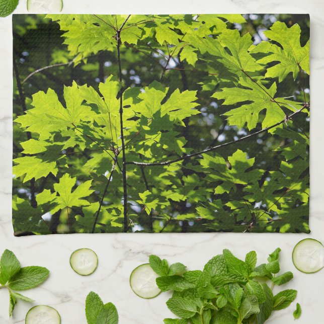 Linge De Cuisine Feuilles Mouchetées de Soleil dans la Forêt (Plié)