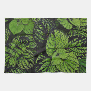 Linge De Cuisine Feuilles tropicaux verts