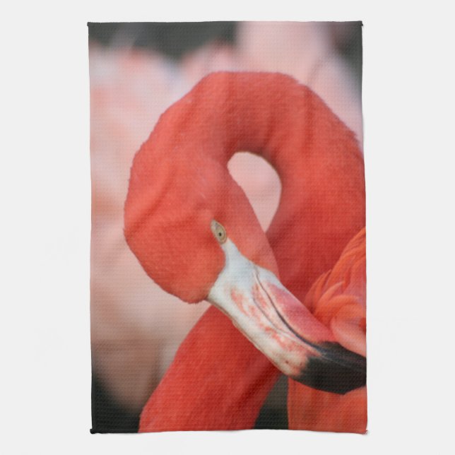 Linge De Cuisine Flamant rose 001 (Vertical)