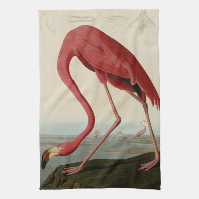 Linge De Cuisine Flamant rose américain (Vertical)