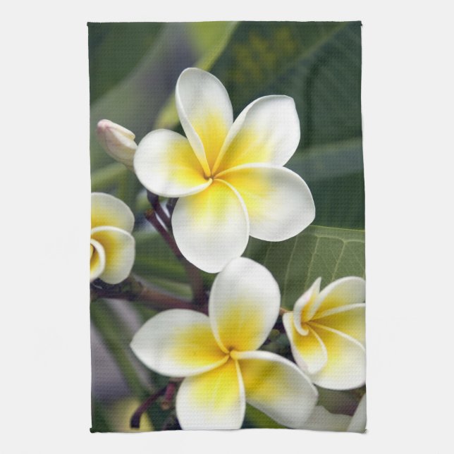 Linge De Cuisine Fleur frangipanienne Îles Cook (Vertical)