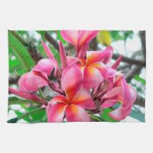 Fleur rose de Plumeria ou de Frangipani