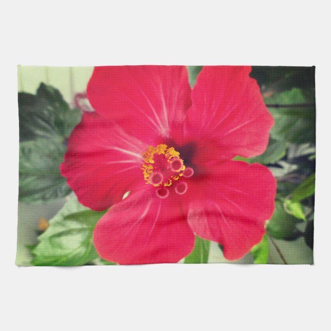 Linge De Cuisine Fleur rouge de Hibiscus Rosa-sinensis (Horizontal)