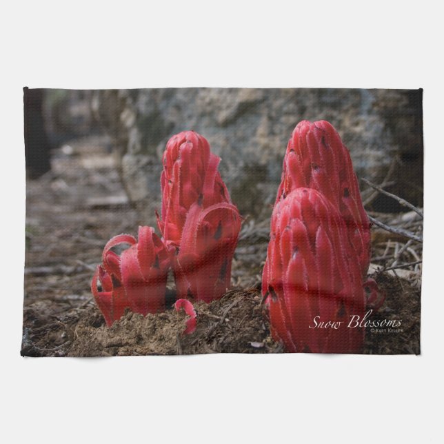 Linge De Cuisine Fleurs de neige (Horizontal)