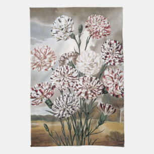 Linge De Cuisine Fleurs de Œillet Panaché Vintage avec Ciel Gris