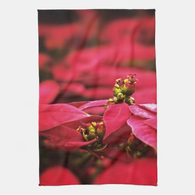 Linge De Cuisine Fleurs Poinsettias Rouges (Vertical)