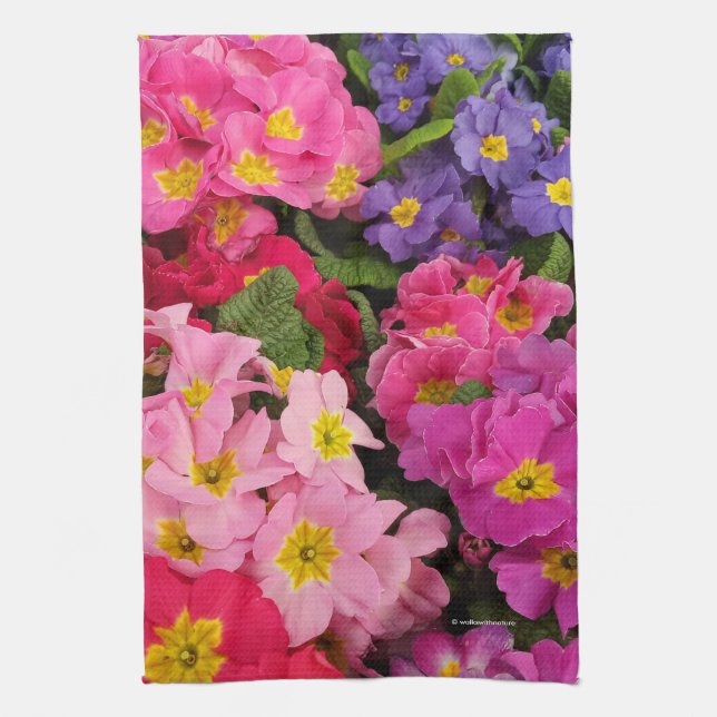 Linge De Cuisine Fleurs Primules couleur Medley rose bleu violet (Vertical)