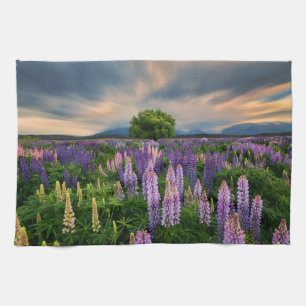 Linge De Cuisine Flowers (homonymie)   Lupine Field à New Zealand