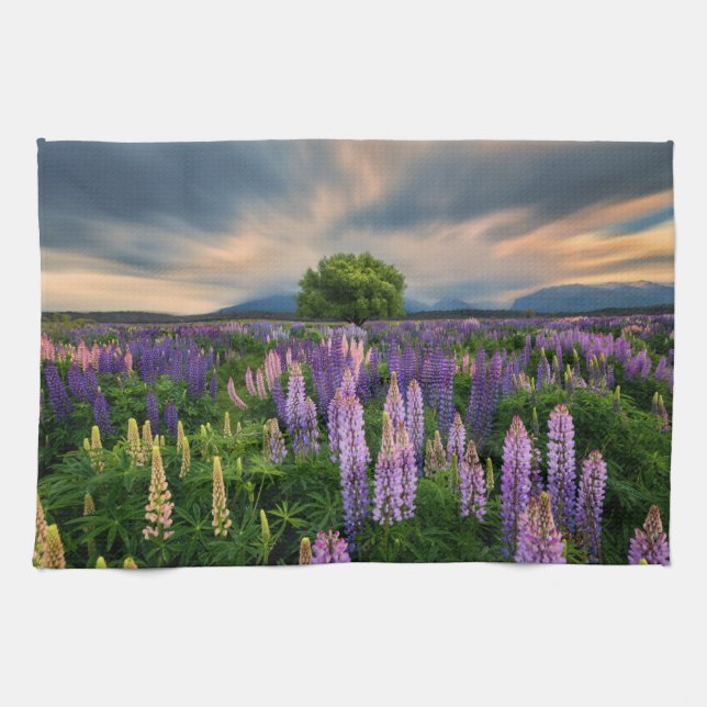 Linge De Cuisine Flowers (homonymie) | Lupine Field à New Zealand (Horizontal)
