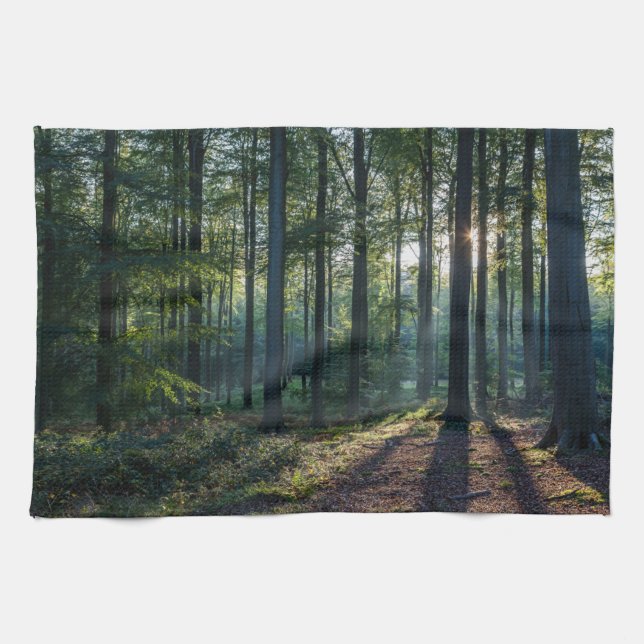 Linge De Cuisine Forêt | Forêt Noire Allemagne (Horizontal)