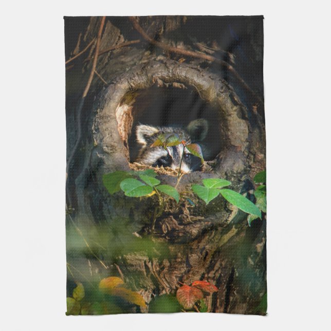 Linge De Cuisine Forêt | Raccoon Peeking (Vertical)