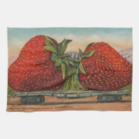 Fraises Géant Antique Fruit Amusement
