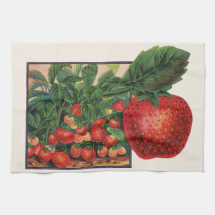 Linge De Cuisine Fraises vintages, Plantes de fraises sur une ferme