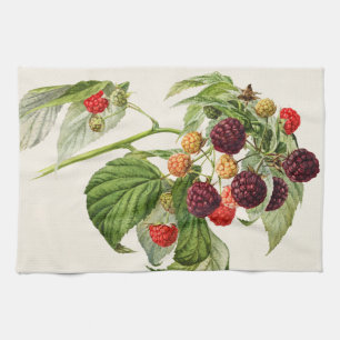 Linge De Cuisine Framboise violette vintage