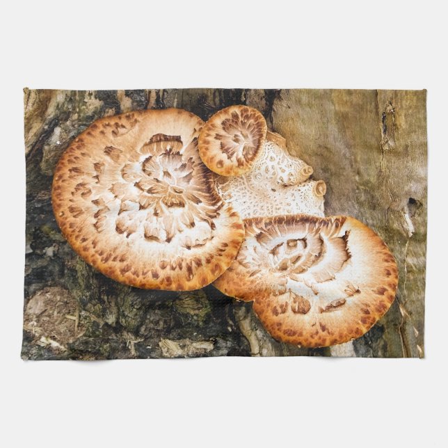 LINGE DE CUISINE FUNGI (Horizontal)
