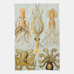 Linge De Cuisine Gamochonia d'Ernst Haeckel