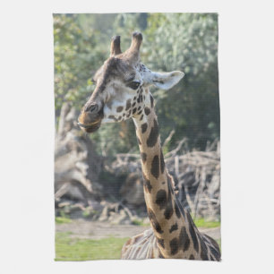Linge De Cuisine Girafe