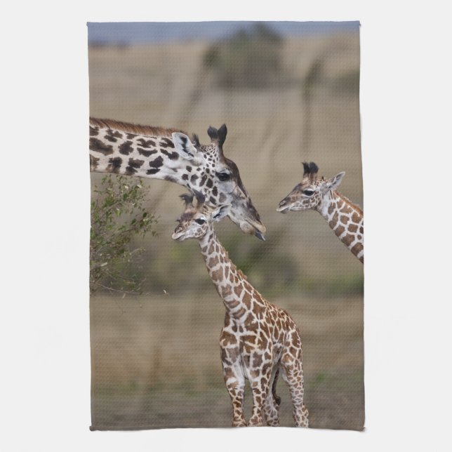 Linge De Cuisine Girafe maasaï (Giraffe Tippelskirchi) (Vertical)
