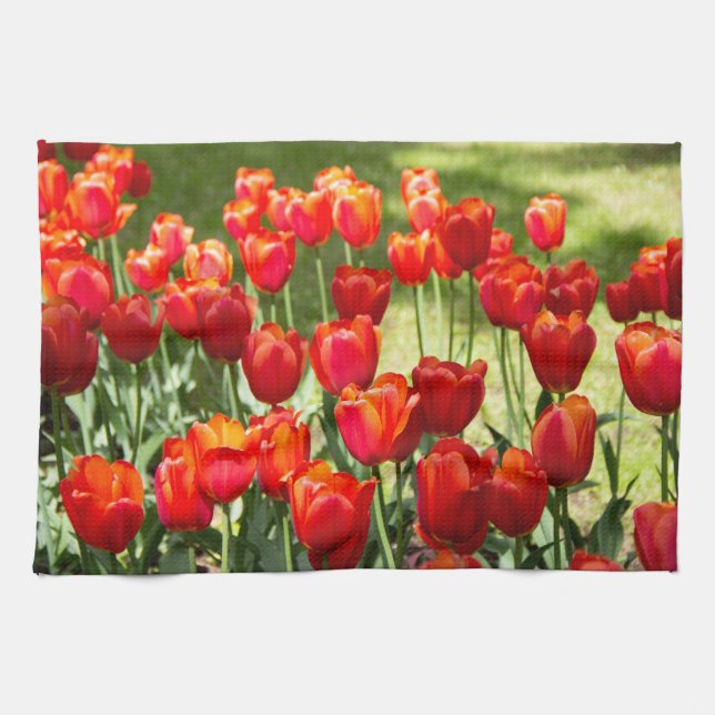 Linge De Cuisine Grand champ de tulipes rouges (Horizontal)