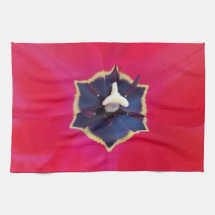 Linge De Cuisine Gras Rouge Tulip Fleur Macro Nature Photographie