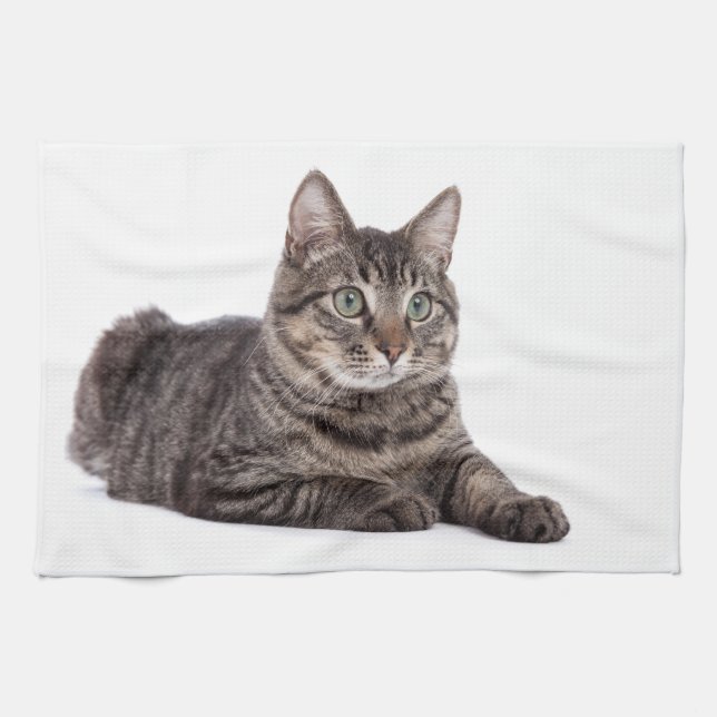 Linge De Cuisine Gray Tabby Cat (Horizontal)