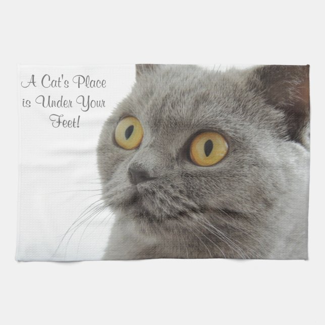 Linge De Cuisine Gros plan des yeux dorés de chats gris (Horizontal)