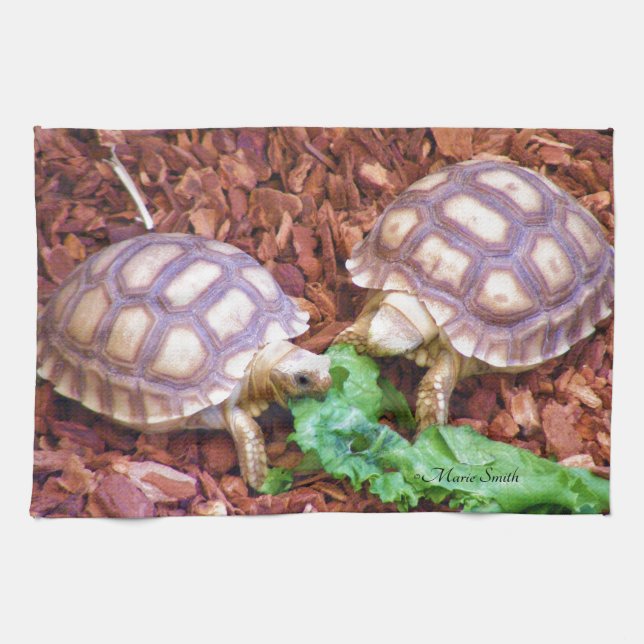 Linge De Cuisine Hatchlings de tortue de Sulcata (Horizontal)