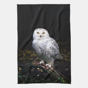 Linge De Cuisine Hibou des neiges majestueux d'hiver