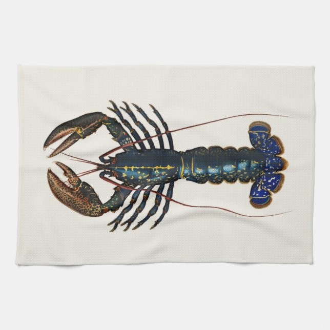 Linge De Cuisine Homard géant - Illustration Vintage (Horizontal)