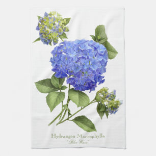 Linge De Cuisine Hortensias bleus