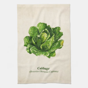 Linge De Cuisine Illustration botanique vintage, choux