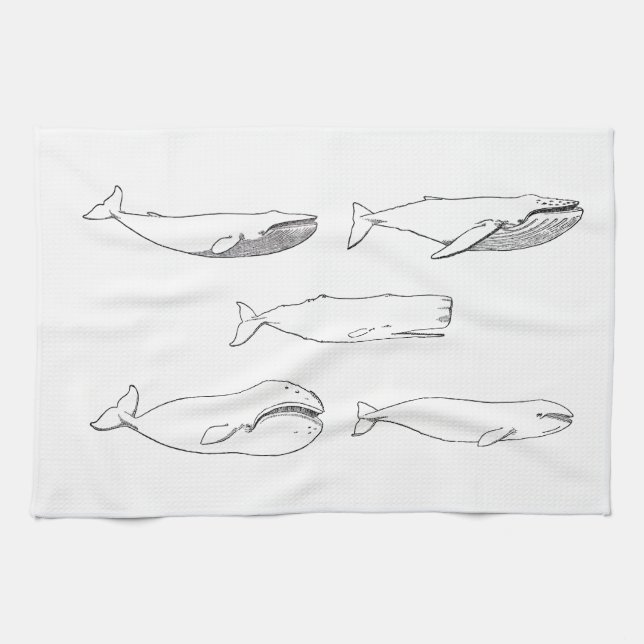 Linge De Cuisine Illustration de baleines (schéma) (Horizontal)