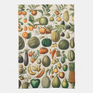 Linge De Cuisine Illustration scientifique végétale des fruits
