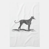Illustration vintage de chien de lévrier de 1800s