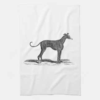 Linge De Cuisine Illustration vintage de chien de lévrier de 1800s