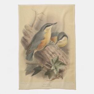 Linge De Cuisine Illustration vintage de Nuthatch