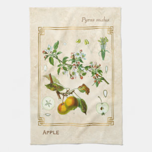 Linge De Cuisine Illustration Vintage Florale botanique de fruits d