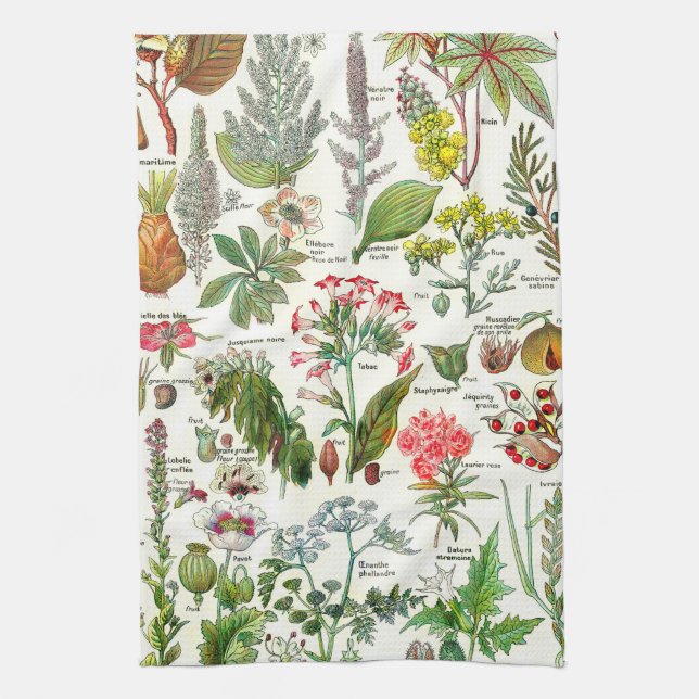 Linge De Cuisine Illustrations botaniques vintages (Vertical)