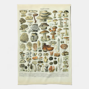 Linge De Cuisine Illustrations de champignons vintages par Adolphe 