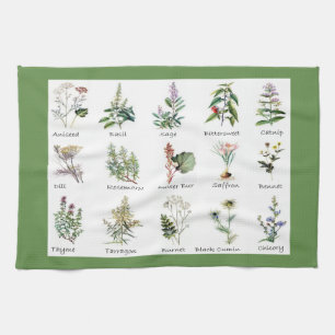 Linge De Cuisine Illustrations polychromes d'herbes et d'épices