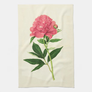 Linge De Cuisine Impression Botanique vintage, Peine rose corail