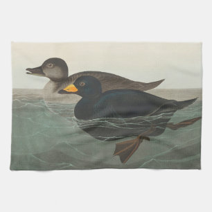 Linge De Cuisine Impression de Macreuse noire d'Audubon : Canard cô