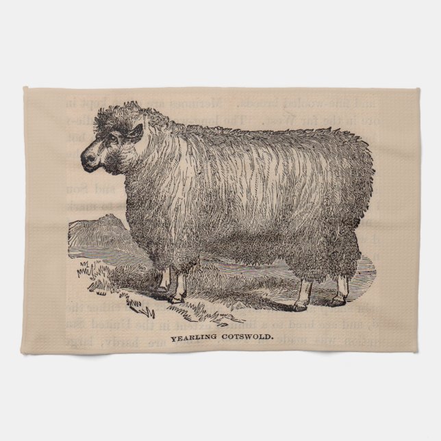 Linge De Cuisine Imprimé au 19e siècle année Cotswold brebis (Horizontal)
