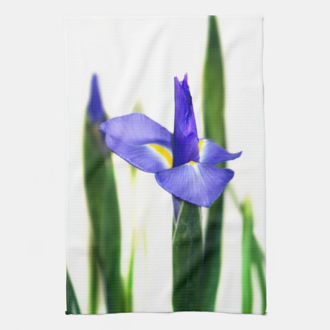 Linge De Cuisine Iris (Vertical)