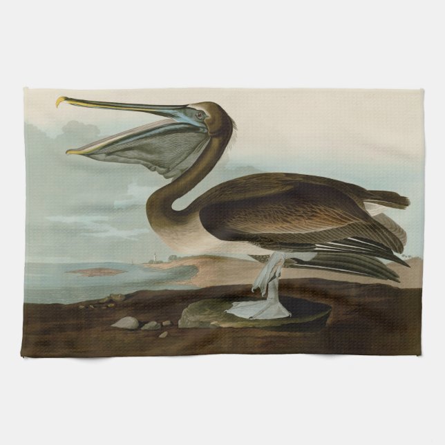 Linge De Cuisine John James Audubon Peinture Pélicane Brown (Horizontal)