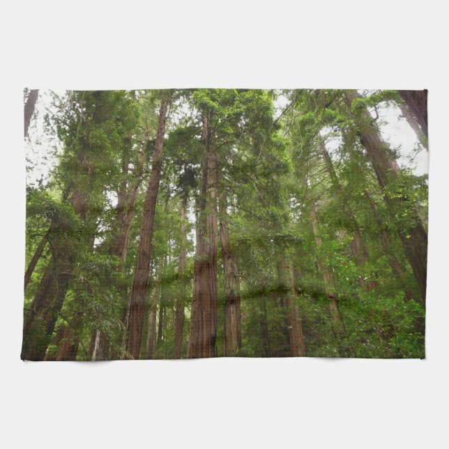 Linge De Cuisine Jusqu'à Redwoods I au monument national de Muir Wo (Horizontal)