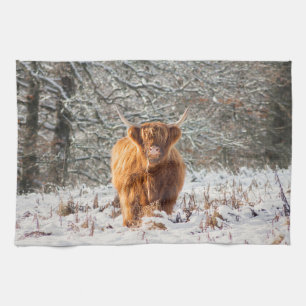 Linge De Cuisine La vache écossaise des Highlands dans la neige