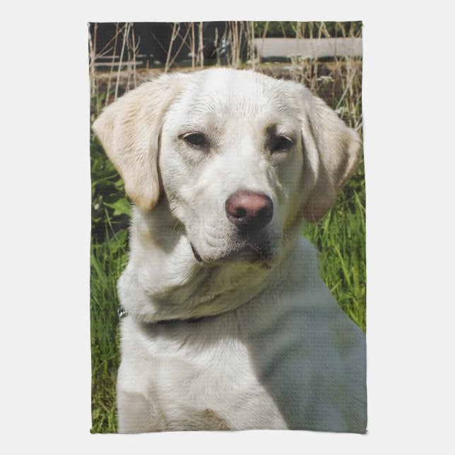 LINGE DE CUISINE LABRADOR DOG (Vertical)
